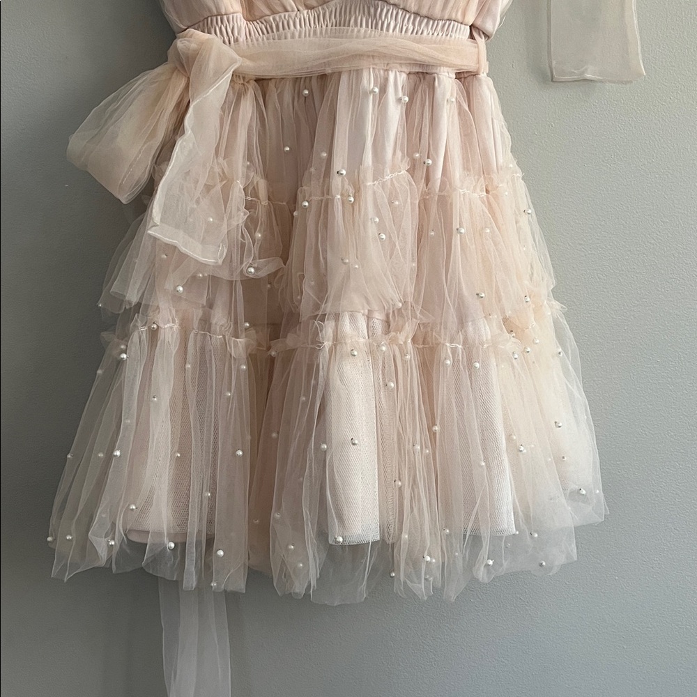 Mable Pearl Stud Swiss Dot Tulle Mini Dress in blush pink size large - Picture 10 of 16